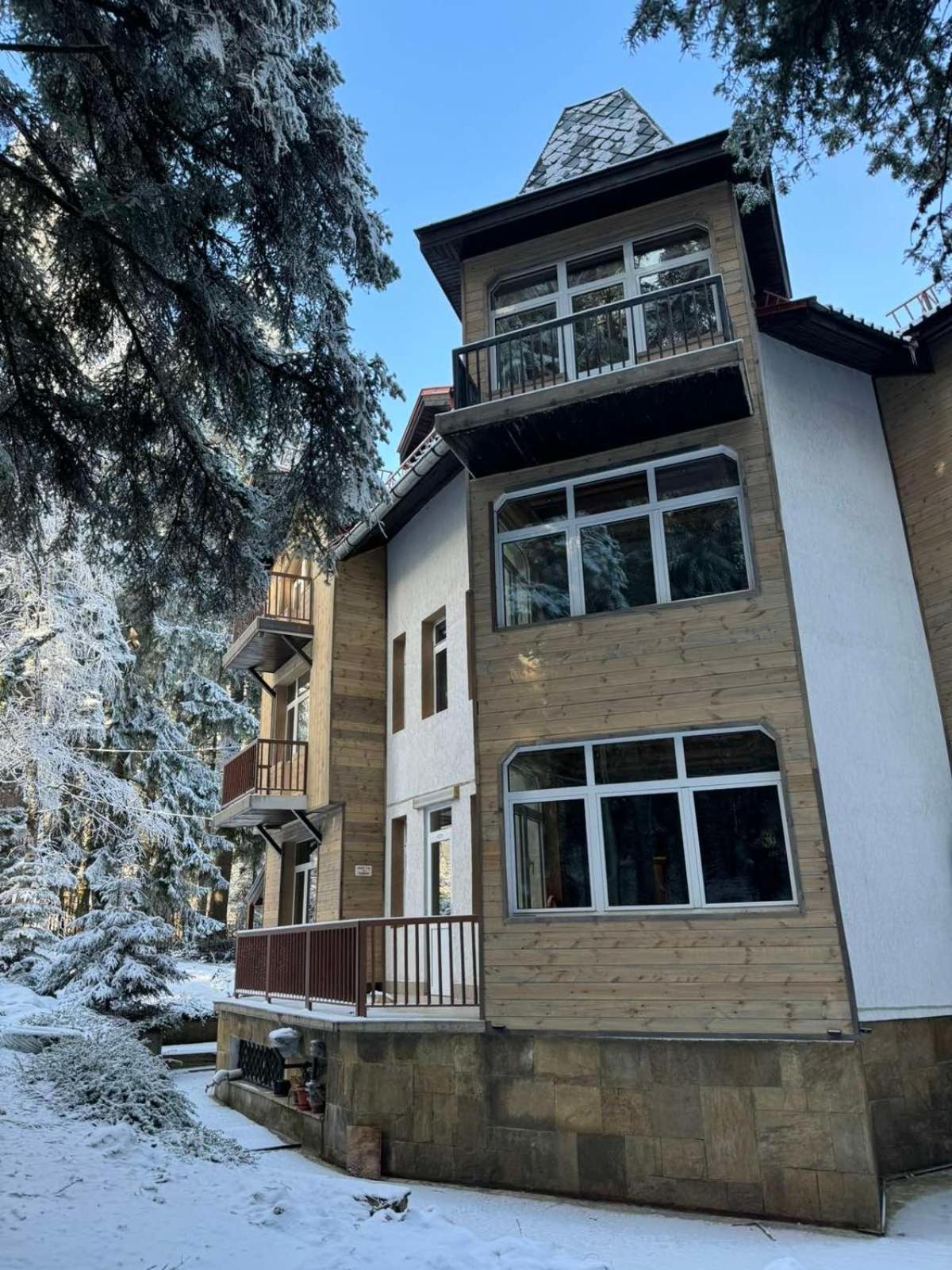 The Forest Villa Μπόροβετς Εξωτερικό φωτογραφία