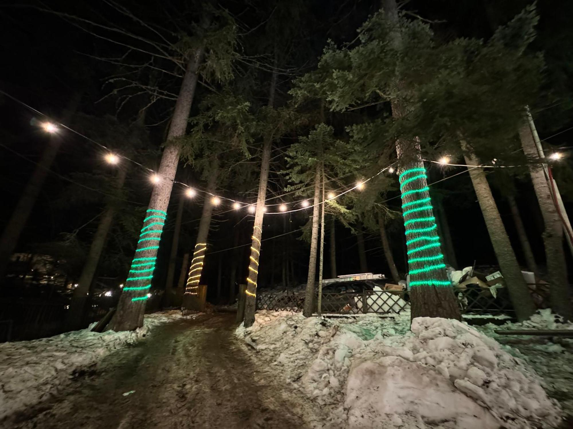 The Forest Villa Μπόροβετς Εξωτερικό φωτογραφία