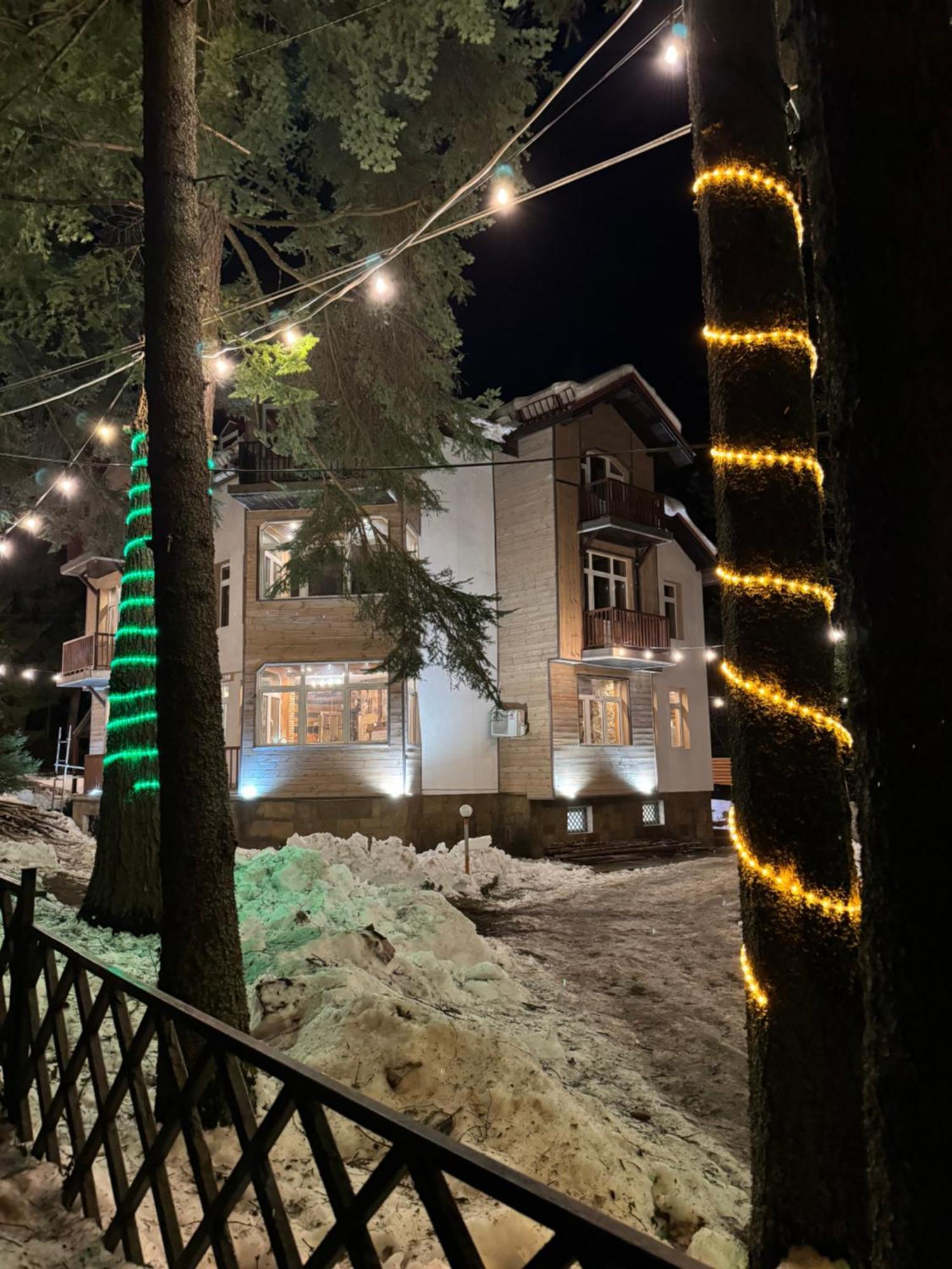The Forest Villa Μπόροβετς Εξωτερικό φωτογραφία