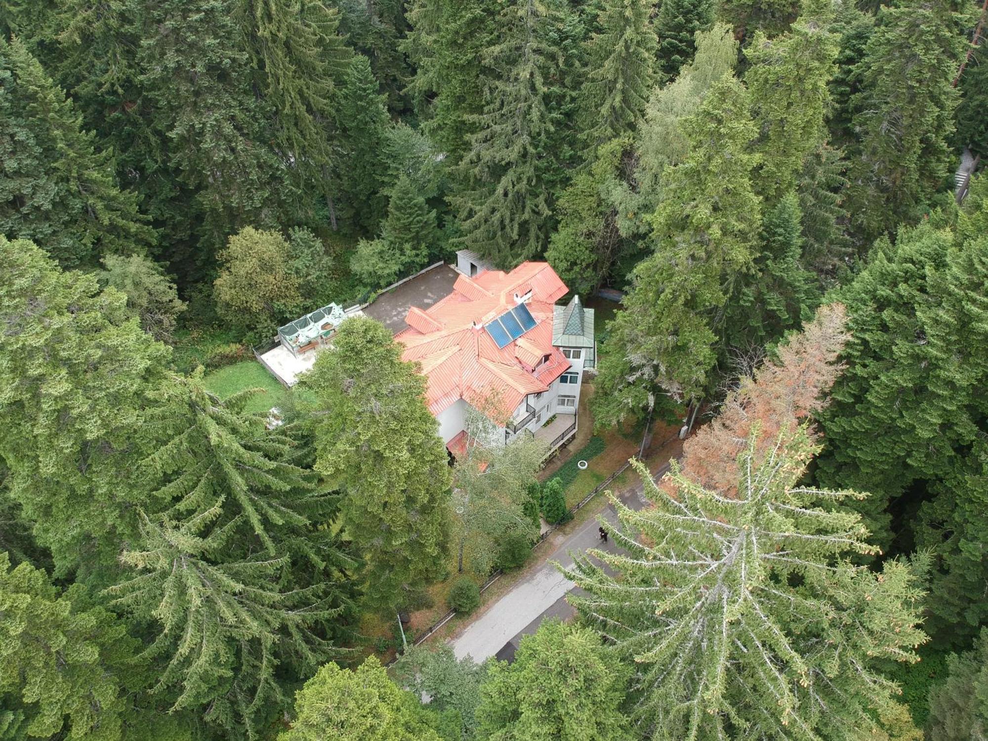 The Forest Villa Μπόροβετς Εξωτερικό φωτογραφία
