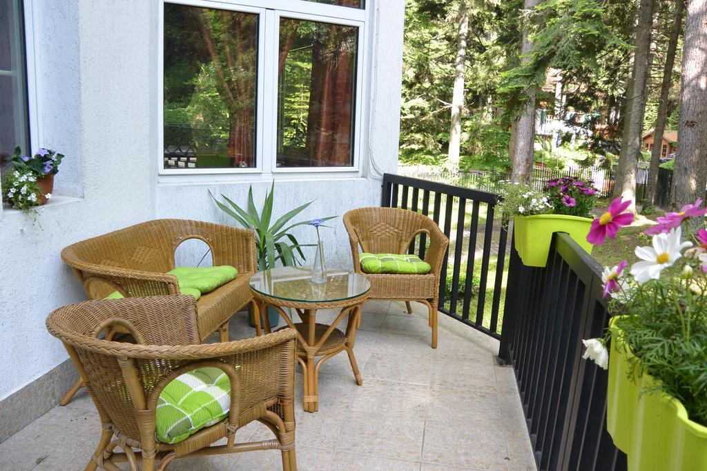 The Forest Villa Μπόροβετς Εξωτερικό φωτογραφία